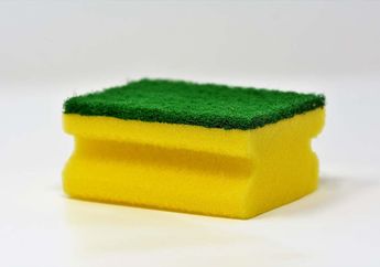 Spons Cuci Piring Ternyata Bisa Lebih Kotor dari Toilet, Cari tahu Kapan Harus Menggantinya!