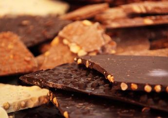 Disukai Banyak Orang, Apakah Cokelat Baik untuk Tubuh? Pencinta Cokelat Wajib Tahu