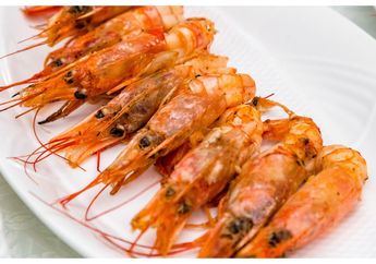 BERITA POPULER: 3 Manfaat Tak Terduga dari Kepala Udang Hingga Kebijakan Lockdown untuk Mengatasi Virus Corona