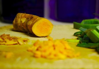 Bisa Bantu Pengobatan Kanker, Ini 5 Manfaat Temulawak Sebagai Obat Herbal