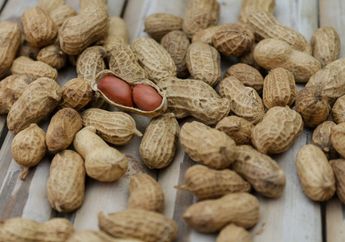 BERITA POPULER: Konsumsi Kacang Tanah Bisa Cegah Penyakit Berbahaya Hingga Cara Mencegah Virus Corona Masuk ke Rumah