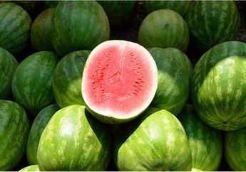 BERITA POPULER: Manfaat Bagian Putih Semangka untuk Kesehatan Hingga 10 Makanan Paling Langka di Dunia