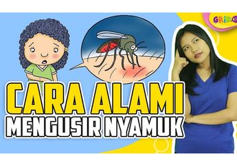 5 Bahan Alami Ini Bisa Mengusir Nyamuk, Salah Satunya Bawang Putih