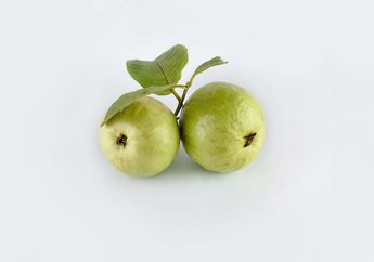 Bisa Menjaga Kekebalan Tubuh, Ternyata 3 Zat dalam Jambu Biji Ini yang Jadi Rahasianya!