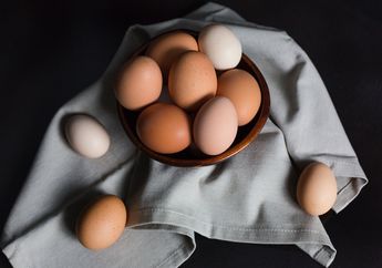 BERITA POPULER: Kulit Telur Ternyata Bisa Diolah dan Bermanfaat Hingga Menu Camilan Lebaran Lidah Kucing Tiga Rasa