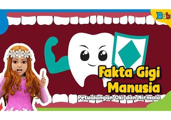 8 Fakta Gigi Manusia, Salah Satunya Manusia Punya Berbagai Macam Gigi