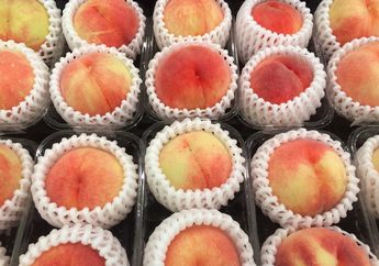 BERITA POPULER: Fungsi Jaring Pembungkus Buah Hingga Cara Menyimpan Makanan Agar Tidak Lekas Busuk