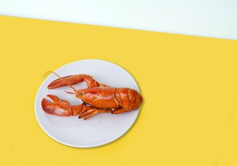 Mengapa Ada Koki yang Memasak Lobster dalam Keadaan Masih Hidup? Cari Tahu Penjelasannya, yuk!