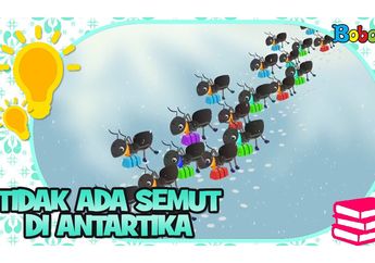 Ditemukan Hampir di Semua Negara, Mengapa Semut Tidak Ada di Kutub?