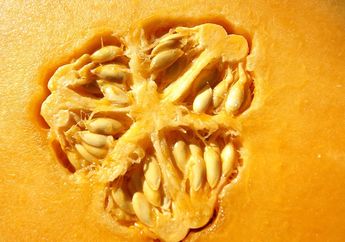 Buah-buahan yang Paling Banyak Dicari saat Bulan Puasa, Ada Buah Favoritmu?