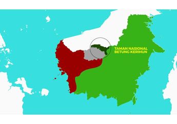 Taman Nasional Betung Kerihun, Rangkuman dan Soal Materi Belajar dari Rumah TVRI 8 Mei 2020