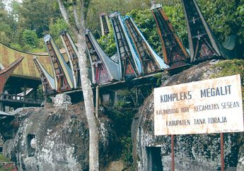 Kerbau Menjadi Salah Satu Unsur Budaya Toraja yang Penting, Ketahui Berbagai Budaya Toraja Lainnya!
