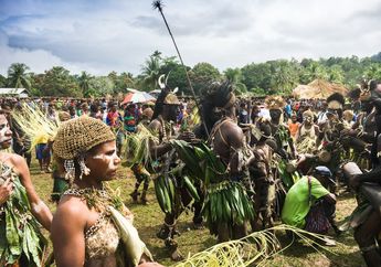 Budaya Merauke: Tari Gatzi Suku Marind yang Diiringi Tifa Khas Papua