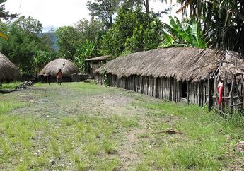 Bukan Hanya Honai, Ada Juga Rumah Adat Papua Lainnya! Ketahui 3 Rumah Adat di Papua