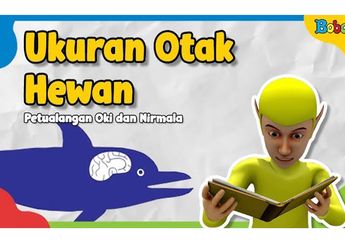 Benarkah Hewan Otak Besar Lebih Cerdas daripada Hewan Otak Kecil?