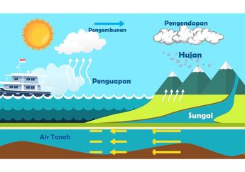 Rangkuman dan Soal Materi X-Sains: Siklus Air, Belajar dari Rumah TVRI Kelas 4-6 SD