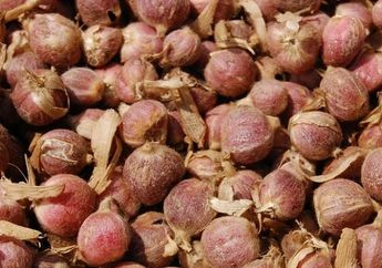 Bau Badan Bikin Tidak Percaya Diri, 4 Jenis Makanan Ini Bisa Bantu Hilangkan Bau Badan