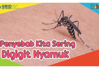 Penyebab Kita Sering Digigit Nyamuk, Mulai dari Pakaian sampai Bakteri
