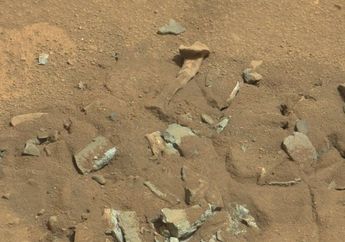 Robot Antariksa NASA di Mars Pernah Temukan Obyek Mirip Tulang Manusia, Benda Apa, ya? Ini Penjelasan NASA