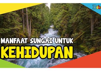 Manfaat Sungai untuk Kehidupan, Salah Satunya Jadi Tempat Wisata