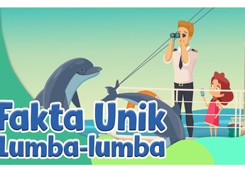 Fakta Seru Lumba-Lumba, Hewan Penyayang dan Suka Berenang Bersama