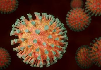 Virus Selalu Dianggap Berbahaya, Ternyata Ada Jenis Virus yang Juga Bisa Melindungi Tubuh dan Mengetahui Penyakit