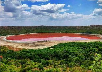 Wah, Air di Danau Ini Berubah Menjadi Berwarna Merah Muda Hanya dalam Semalam, Apa Sebabnya?