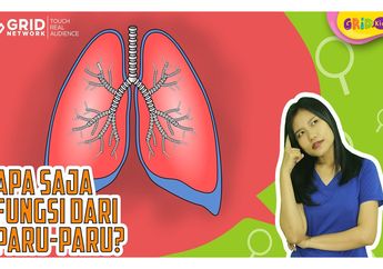 Tak Hanya untuk Pernapasan, Ini Pentingnya Paru-Paru bagi Manusia