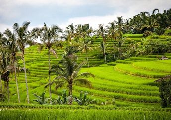 Tulis Pokok Pikiran dan Pertanyaan Teks 'Perubahan dalam Jaring-jaring Makanan', Cari Jawaban Kelas 5 SD Tema 5