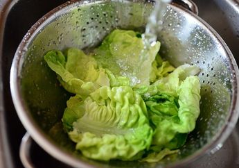 3 Kebiasaan yang Sering Dilakukan pada Makanan Justru Bisa Berbahaya, Salah Satunya Mencuci Sayuran Sebelum Disimpan
