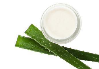 Bisa Meningkatkan Kekebalan Tubuh, Inilah 5 Manfaat Rutin Minum Jus Lidah Buaya di Pagi Hari