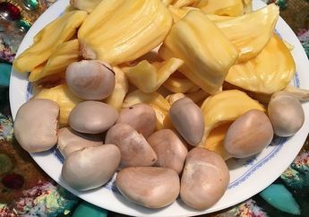 Konsumsi Biji Nangka Ternyata Punya Berbagai Manfaat untuk Tubuh, Salah Satunya Cegah Infeksi Bakteri