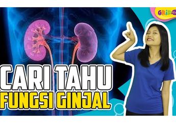 Menyaring Darah Hingga Membuang Limbah Beracun, Ini Dia Fungsi Ginjal di Tubuh