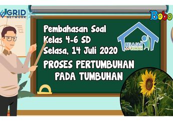 Simak Penjelasan tentang Proses Pertumbuhan pada Tumbuhan di Video Ini