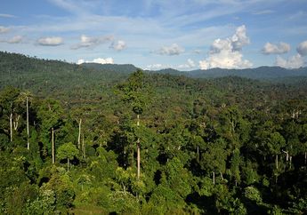 Contoh Sumber Daya Alam yang Bisa Diperbarui dan Tidak Bisa Diperbarui yang Ada di Sekitar Kita