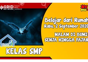 Lihat Kehidupan Hewan dalam Tayangan Malam di Bumi: Senja Hingga Fajar di Video Ini