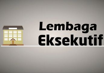 Inilah Hal yang Menjadi Wewenang dan Tugas Lembaga Eksekutif di Indonesia