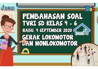 Berita Gerak Lokomotor Terbaru Hari Ini Bobo