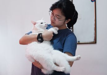 Perhatikan Tanda-Tanda Ini pada Kucingmu, Bisa Jadi Ini Pertanda Kalau Kucing Suka dengan Kita!
