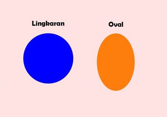 Inilah Perbedaan Lingkaran dan Oval, Meski Mirip Ternyata Keduanya Berbeda!