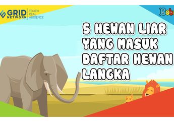 Hidup di Alam Bebas, Ini 5 Hewan Liar yang Masuk dalam Daftar Hewan Langka