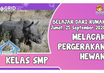 Optimisme Bumi: Melacak Pergerakan Hewan, Simak Penjelasannya di Video Ini