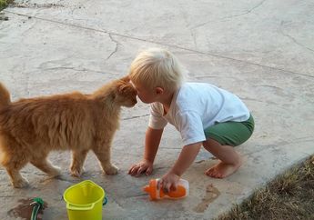 Kucing Suka Mengendus Wajah? Ternyata Salah Satu Alasannya Karena Kucing Menerima Kita sebagai Keluarga!