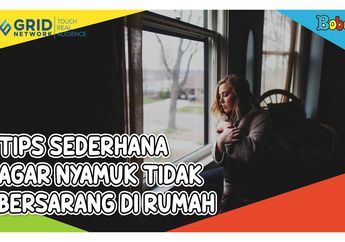 Tips Sederhana dan Mudah Dilakukan agar Nyamuk Tak Bersarang di Rumah