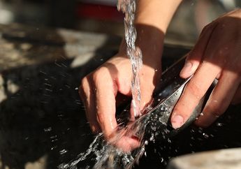 Memasak Seafood Meninggalkan Bau Amis di Peralatan Masak, Gunakan Bahan-Bahan Ini untuk Hilangkan Baunya