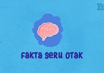 Wah, Ternyata Manusia Bukan Pemilik Otak Terbesar! Ketahui Berbagai Fakta Seru Otak, yuk