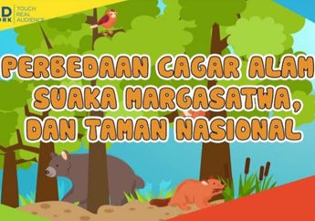 Ketahui Perbedaan Cagar Alam, Suaka Margasatwa, dan Taman Nasional untuk Konservasi Lewat Video Ini