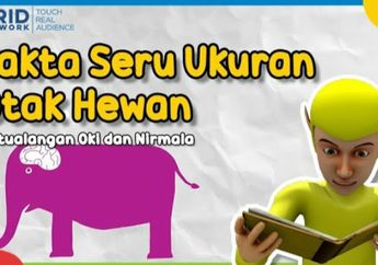 Dongeng Anak, Petualangan Oki dan Nirmala: Fakta Seru Ukuran Otak Hewan, Cari Tahu di Video Ini, yuk