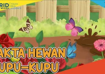 Terlihat Warna-warni, Ternyata Sayap Kupu-Kupu Itu Transparan, Ketahui Fakta Kupu-Kupu di Video Ini
