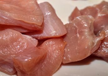 BERITA POPULER: Bahaya Mencuci Daging Ayam Mentah hingga Lucunya Kucing yang Tak Sengaja Terselip di Sofa yang Baru Dibeli